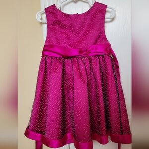 Rare Occasion 4T Dress